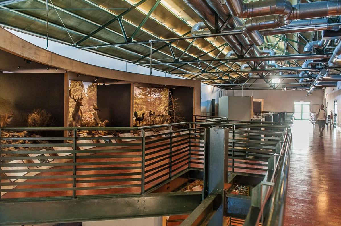 The Fifty Condo كاندية المظهر الخارجي الصورة